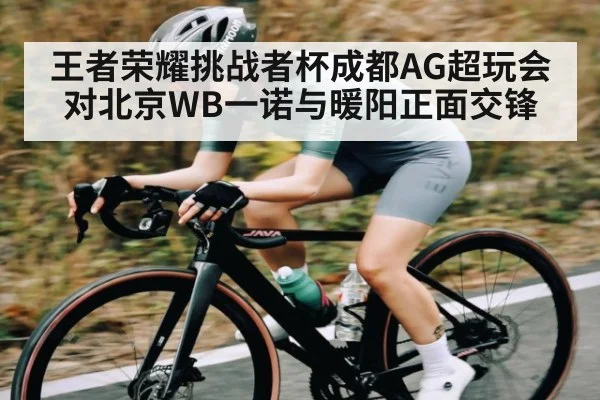 王者荣耀挑战者杯成都AG超玩会对北京WB一诺与暖阳正面交锋